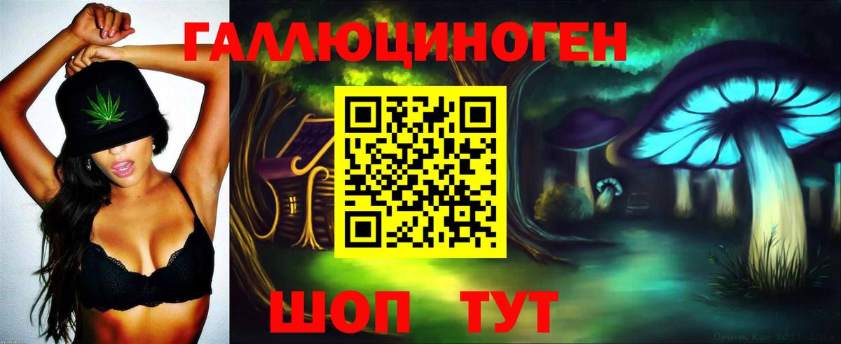 Звенигород  Псилоцибиновые грибы Psilocybe  Вход с VPN  Псилоцибиновые грибы мицелий 