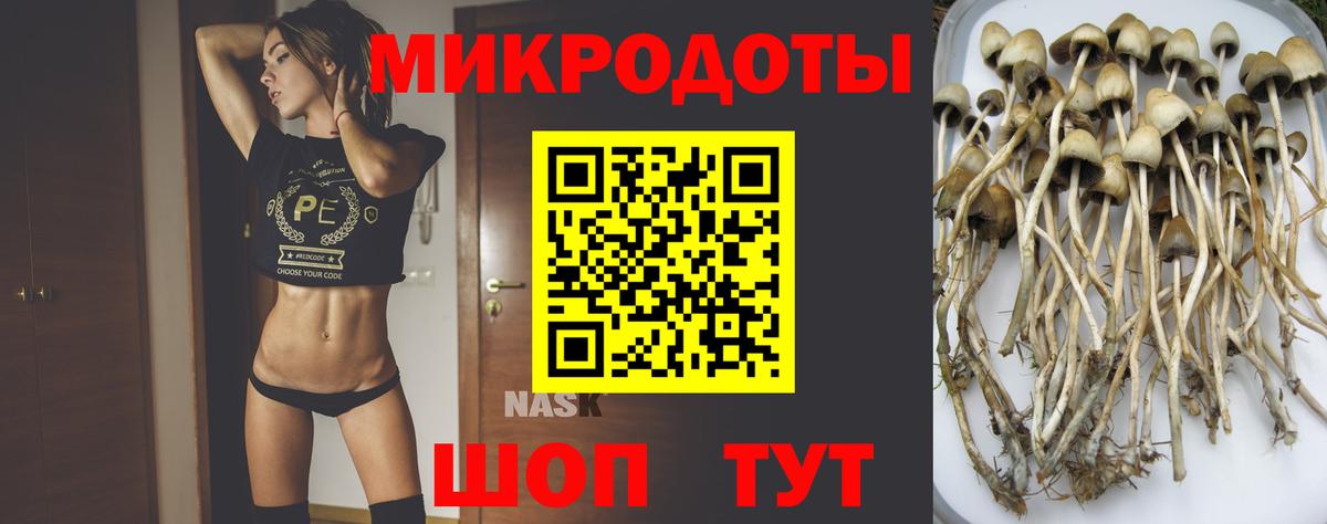 Псилоцибиновые грибы MAGIC MUSHROOMS Звенигород