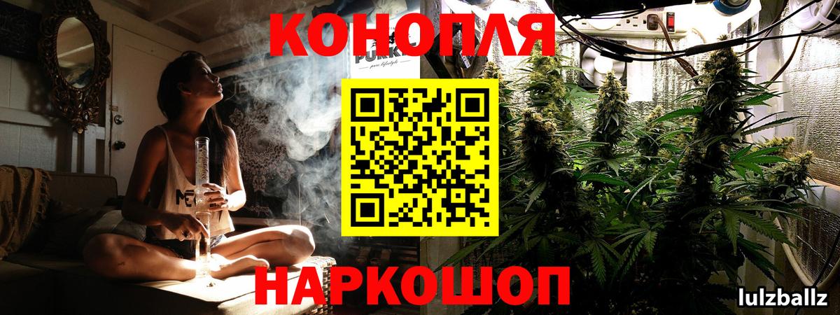 Конопля MAZAR Звенигород